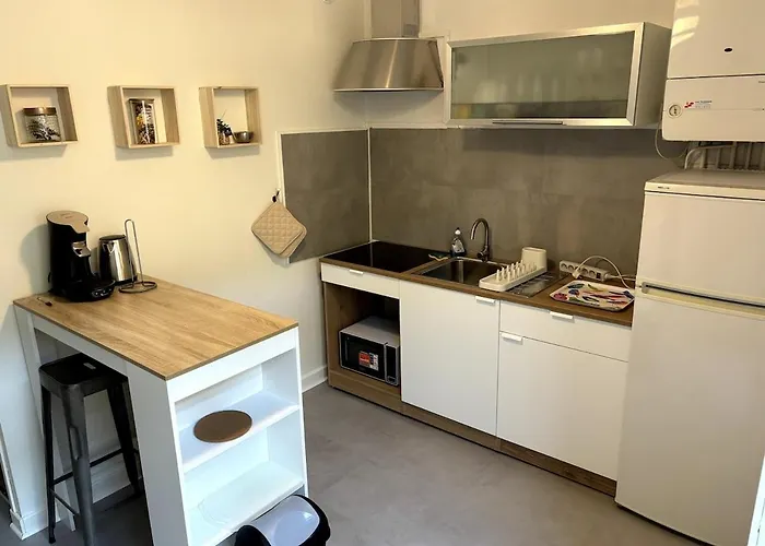 Cozy Center 2 Avenue Des Etats-unis * Клермон-Ферран